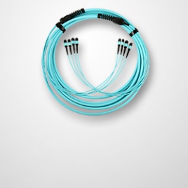 48 fiber MTP-MTP trunk cable