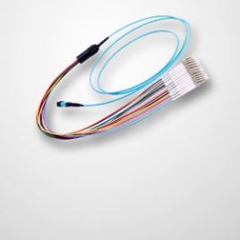 MTP-12LC patchcord