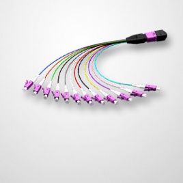 MTP-12LC-fanout-violet